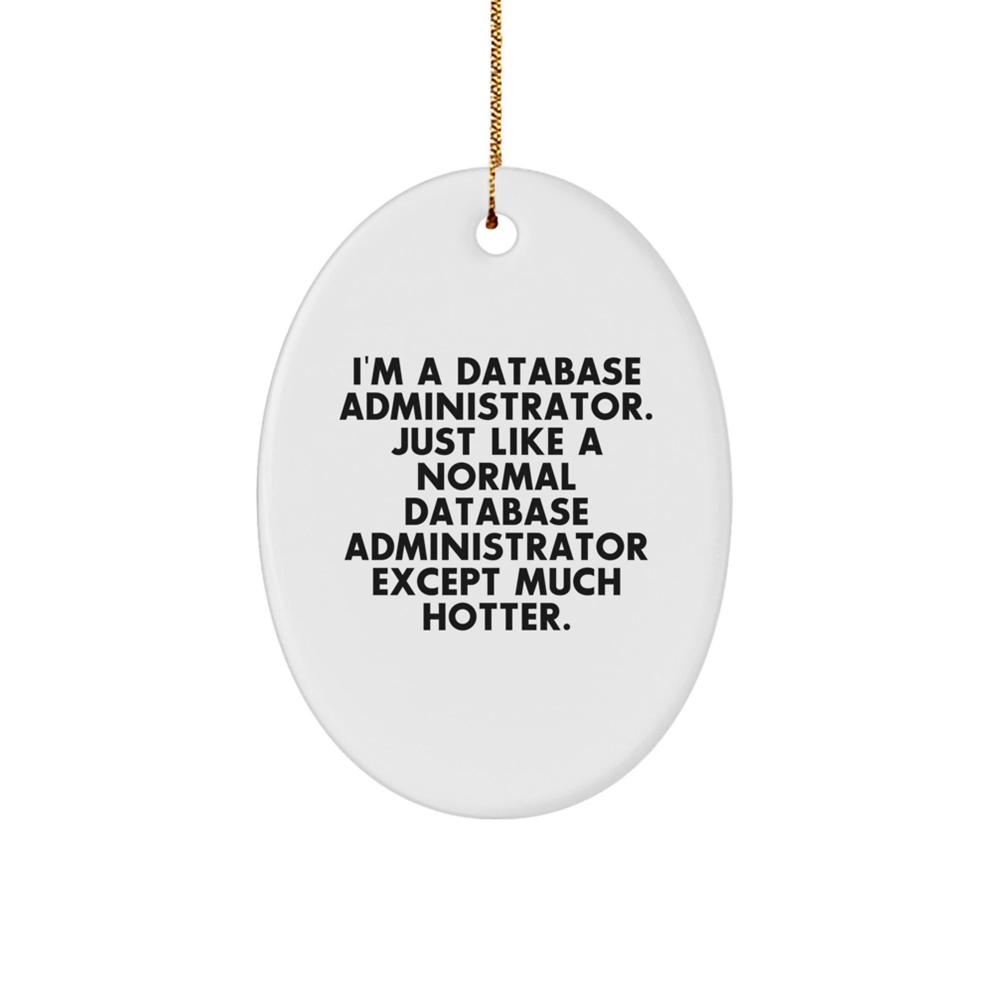 Funny Database Administrator Oval Ornament Gifts from Friends and Family for Christmas Unique Decorations - Image 1