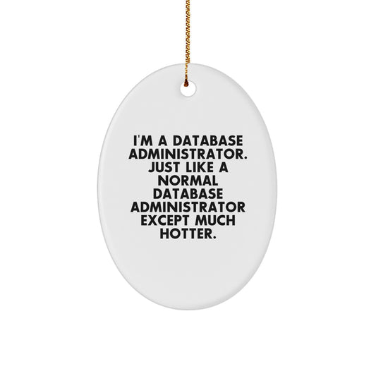Funny Database Administrator Oval Ornament Gifts from Friends and Family for Christmas Unique Decorations - Image 1