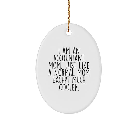 Gifts from Mom for Accountant Friends and Family, Oval Ornament with Funny Quote, Unique Christmas Unique Gifts for Accountants, I Am An Accountant Mom, Oval Shaped MDF with High-Gloss Finish - Image 1