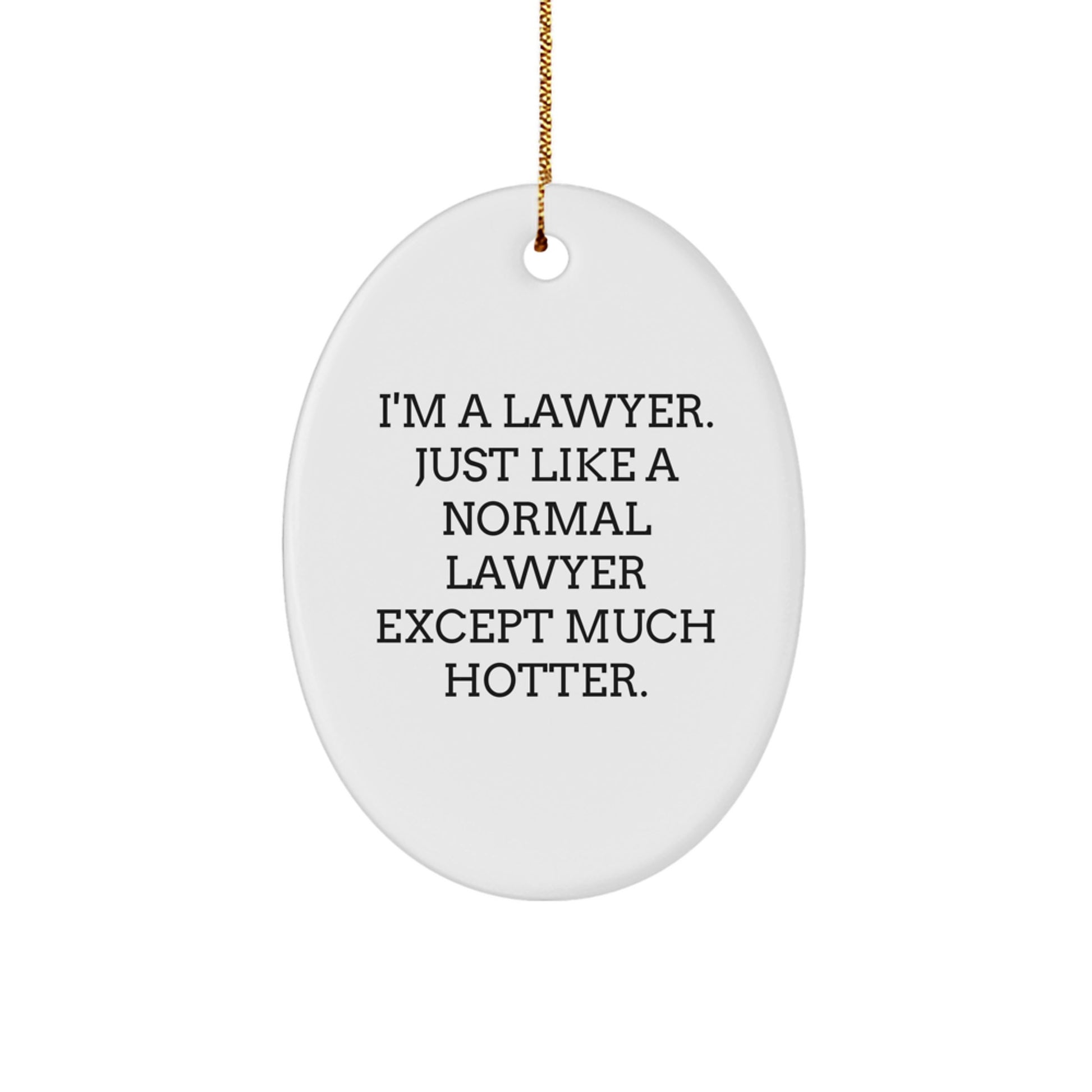 Funny Lawyer Gifts for Men Women Friends Coworkers Family - Oval Ornament 'I'm A Lawyer...' - Image 1