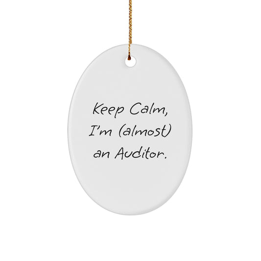 Funny Auditor Oval Ornament Gifts from Men to Friends for Christmas Unique Decorations - Image 1