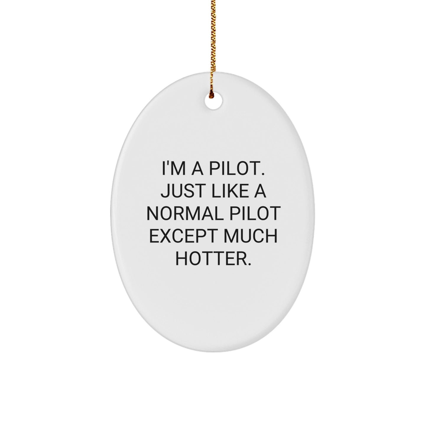 Pilot Gifts from Friends - Oval Ornament, Funny Pilot Quote, Christmas Unique Gifts for Pilot Lovers, Men, Women, Family - Image 1