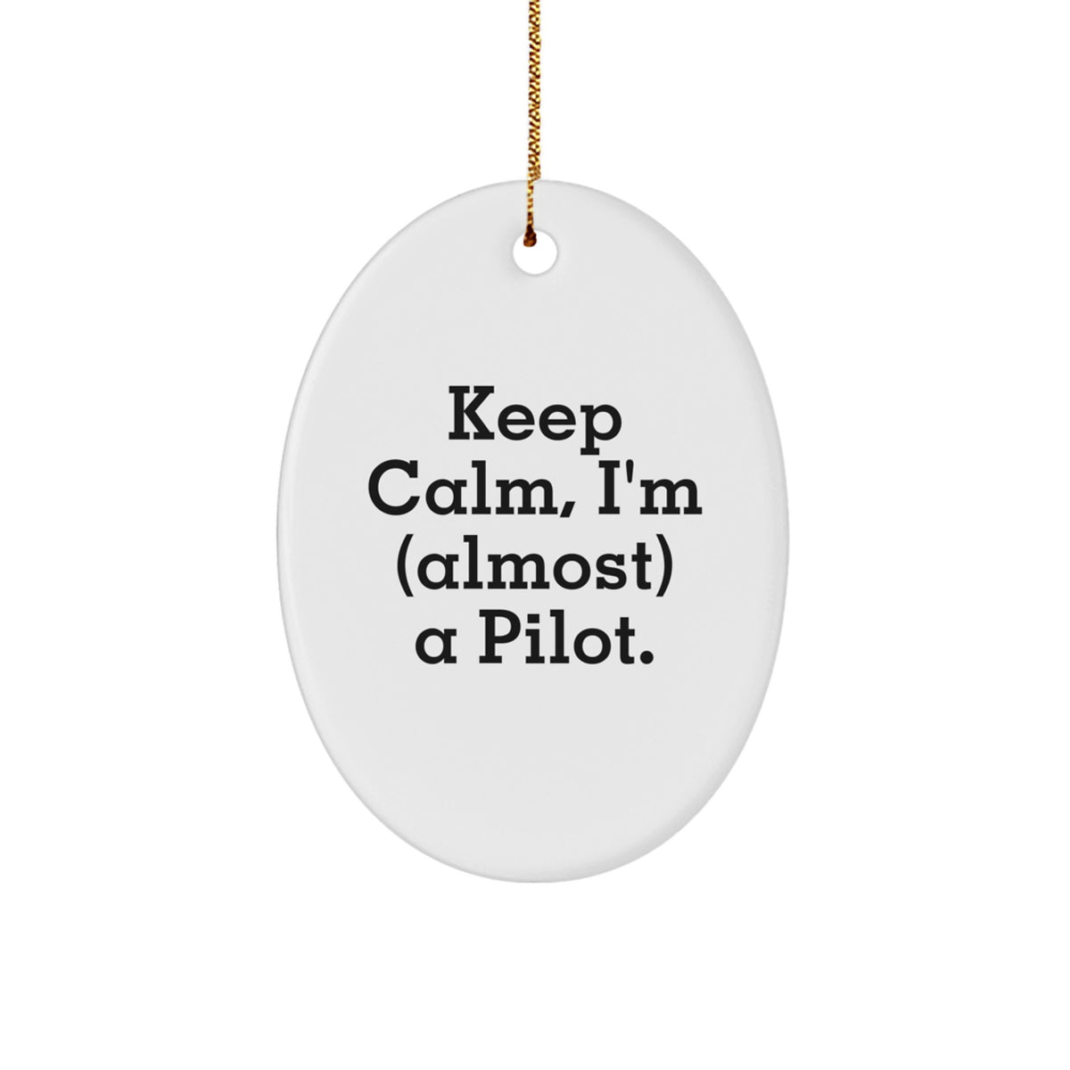 Funny Pilot Oval Ornament Gifts from Friends or Family for Christmas - Image 1