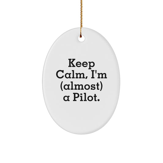 Funny Pilot Oval Ornament Gifts from Friends or Family for Christmas - Image 1