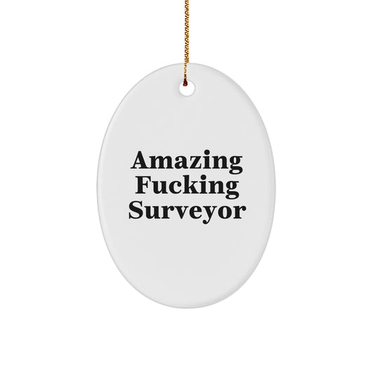 Funny Surveyor Gifts for Men - Oval Ornament with Amazing Quote, Perfect Christmas Unique Gifts from Men to Surveyor Friends - Image 1