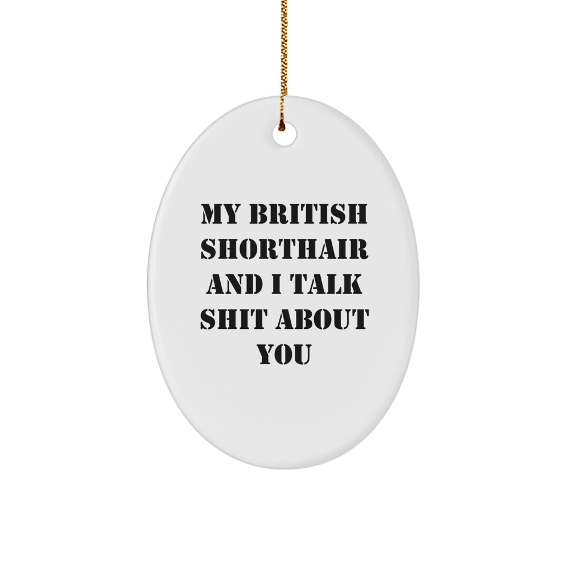 Funny British Shorthair Cat Gifts for Christmas Unique Oval Shaped Ornaments from Friends, British Shorthair Cat Lovers, and British Shorthair Cat Enthusiasts - Image 1