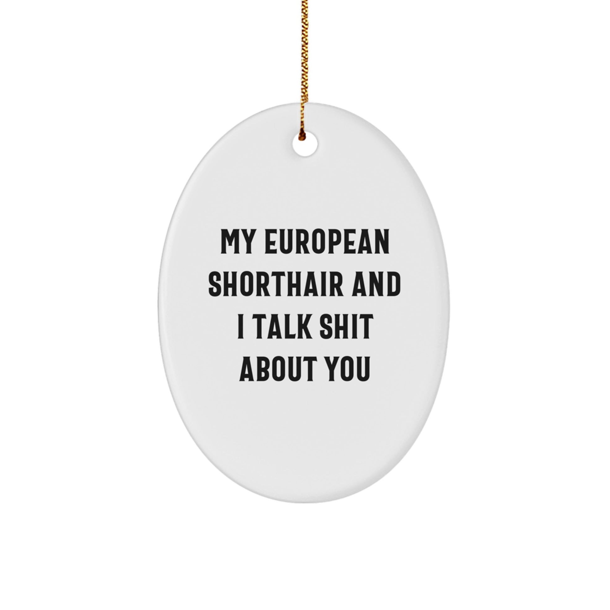 European Shorthair Oval Ornament Treasure for Kids Christmas Gift - Image 1