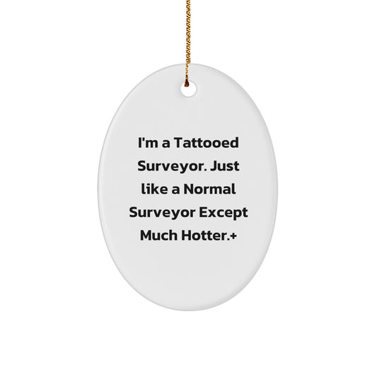 Funny Surveyor Gifts for Men, Oval Ornament, Christmas Unique Gifts from Family, Surveyor Lover Decorations - Image 1