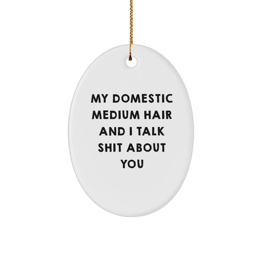 Funny Domestic Medium Hair Oval Ornament Gifts from Men to Friends for Christmas Unique - Image 1