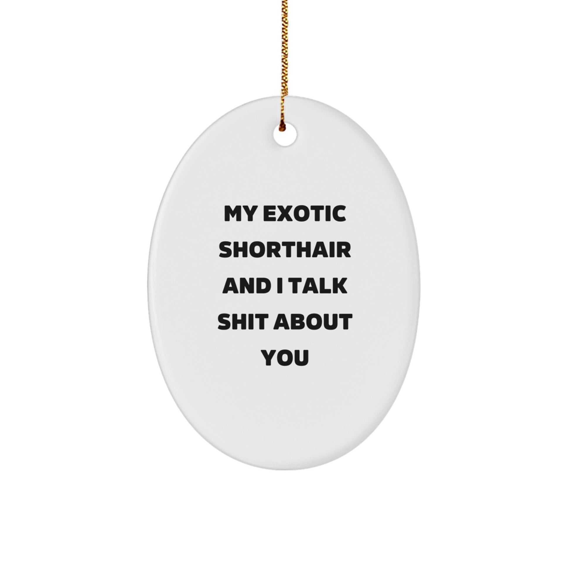 Funny Exotic Shorthair Cat Oval Ornament Gifts for Exotic Shorthair Cat Lovers from Friends, 'My Exotic Shorthair And I Talk Shit About You' Christmas Unique Gifts - Image 1
