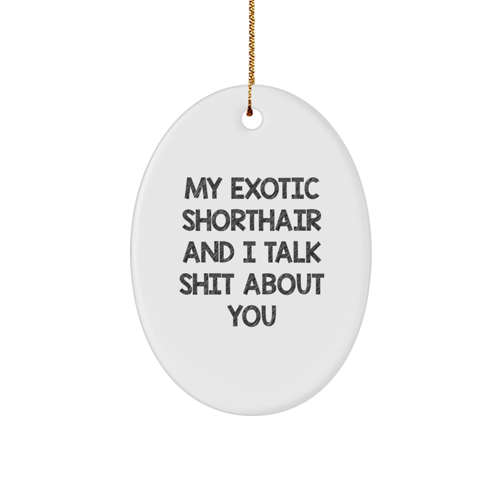 Funny Exotic Shorthair Cat Oval Ornament Gifts for Christmas, 'My Exotic Shorthair And I Talk Shit About You' Quote, Perfect for Exotic Shorthair Cat Lover Friends Family - Image 1