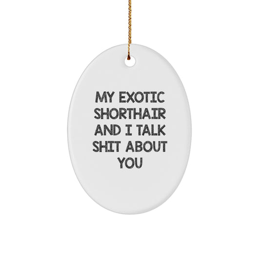 Funny Exotic Shorthair Cat Oval Ornament Gifts for Christmas, 'My Exotic Shorthair And I Talk Shit About You' Quote, Perfect for Exotic Shorthair Cat Lover Friends Family - Image 1