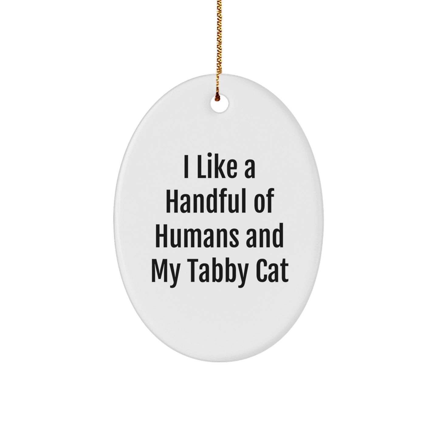 Funny Tabby Cat Oval Ornament Gifts from Men to Family on Christmas - Image 1