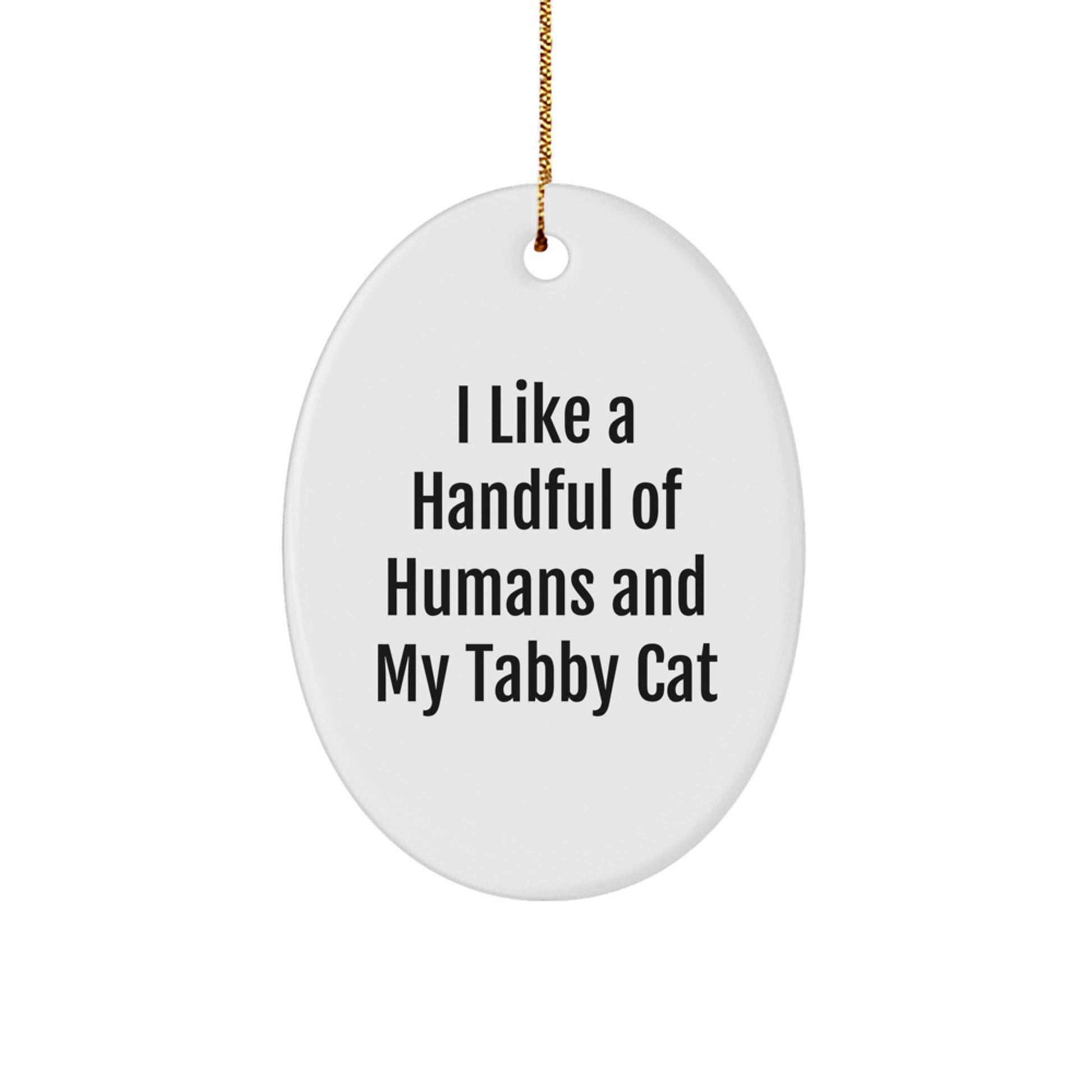 Funny Tabby Cat Oval Ornament Gifts from Men to Family on Christmas - Image 1