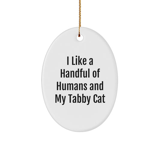 Funny Tabby Cat Oval Ornament Gifts from Men to Family on Christmas - Image 1