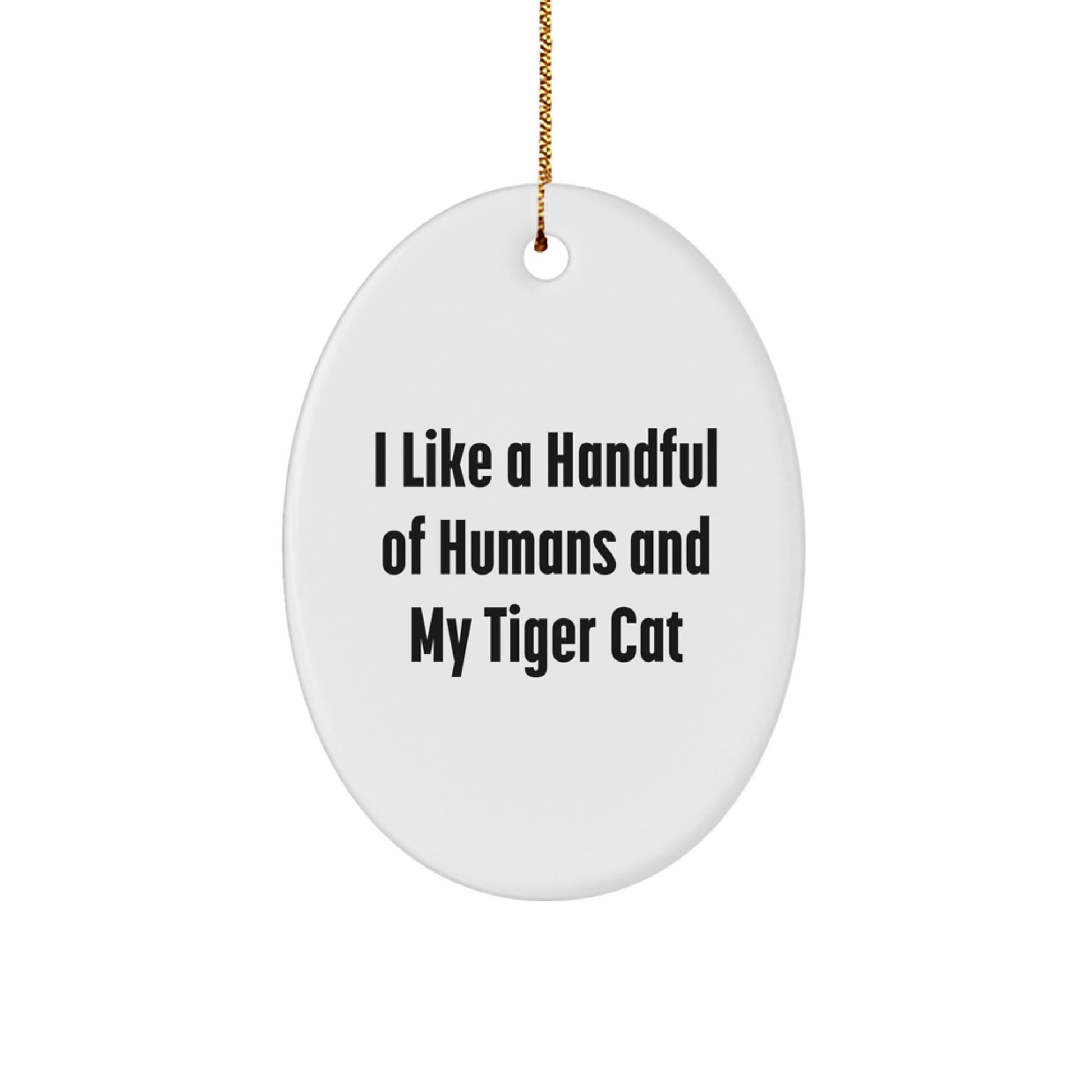 Funny Tiger Cat Oval Ornament Gifts from Men for Tiger Cat Lovers Christmas Unique - Image 1