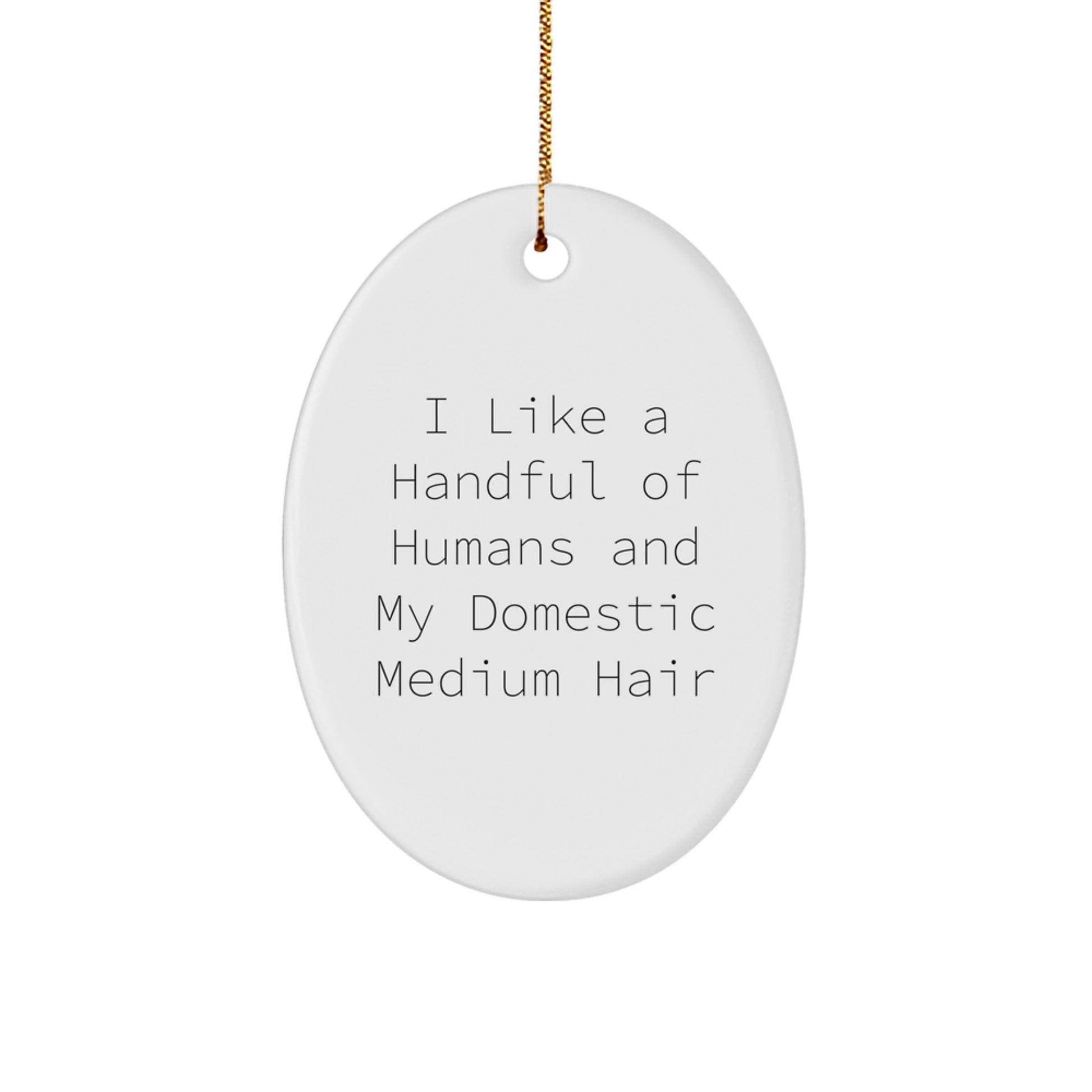 Funny Domestic Medium Hair Oval Ornament Gifts from Men to Women on Christmas Unique - Image 1