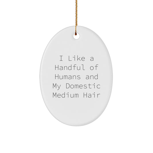 Funny Domestic Medium Hair Oval Ornament Gifts from Men to Women on Christmas Unique - Image 1