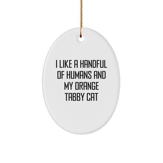 Orange Tabby Cat Oval Ornament Gifts for Friends and Family, Funny Quote, Christmas Unique Gifts from Men Women - Image 1