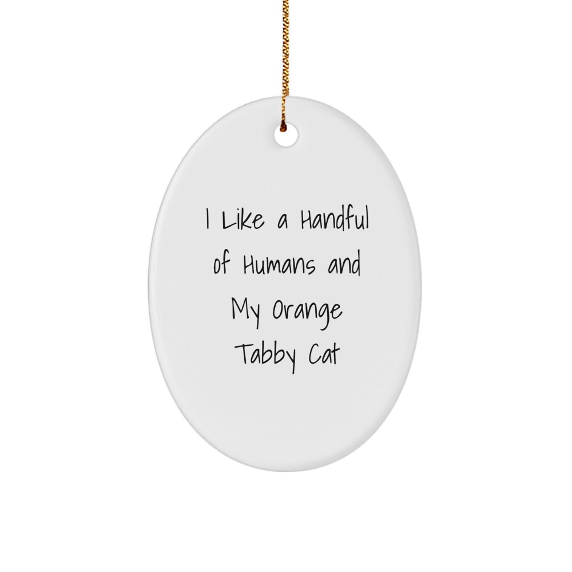 Funny Orange Tabby Cat Oval Ornament Gifts for Men and Women, Christmas Unique Presents from Friends and Family - Image 1