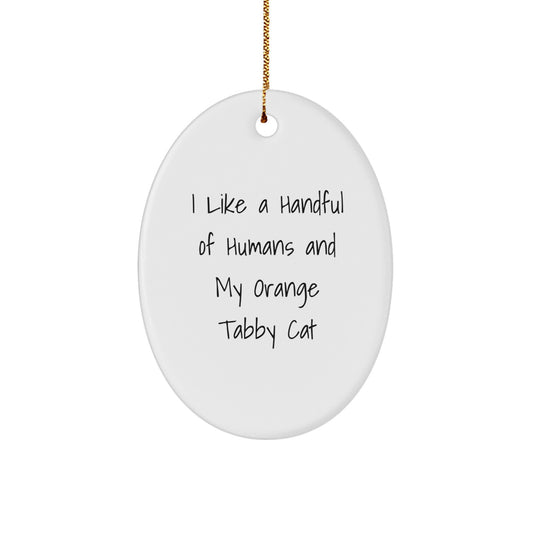 Funny Orange Tabby Cat Oval Ornament Gifts for Men and Women, Christmas Unique Presents from Friends and Family - Image 1