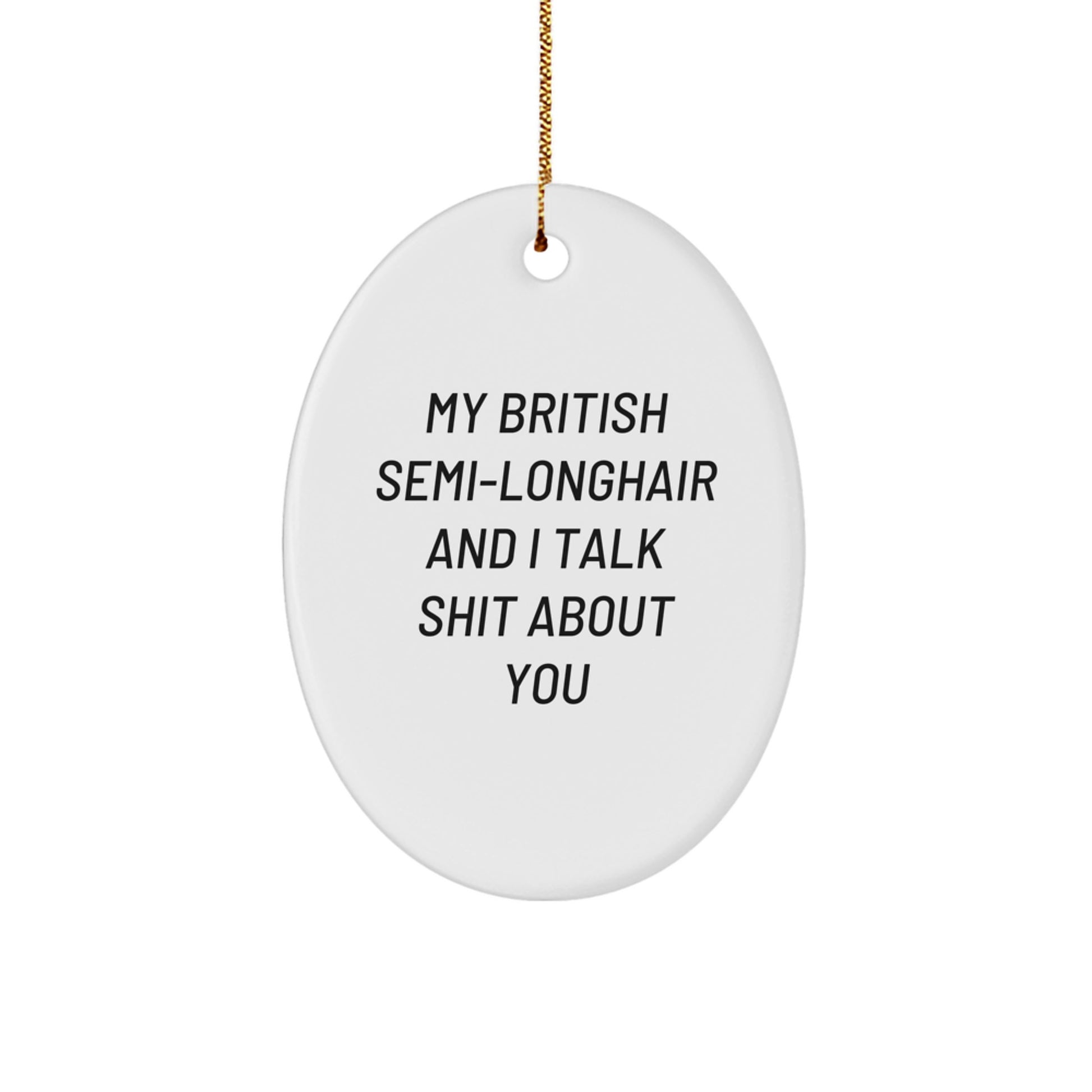 British Semi-Longhair Cat Oval Ornament Funny Quote for Cat Lovers Christmas Unique Gifts from Friends to Men, Women, Family and Coworkers - Image 1