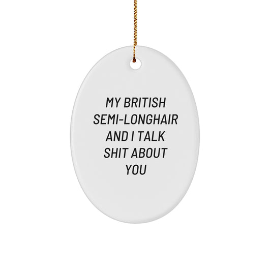 British Semi-Longhair Cat Oval Ornament Funny Quote for Cat Lovers Christmas Unique Gifts from Friends to Men, Women, Family and Coworkers - Image 1