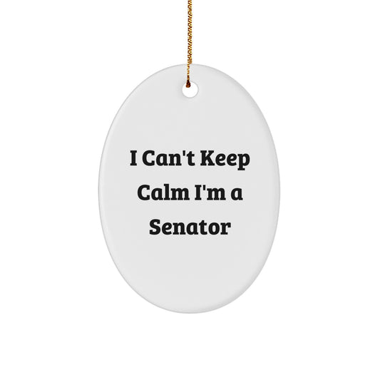 Funny Senator Oval Ornament Gifts for Senator Friends Men Women - I Can't Keep Calm I'm A Senator Christmas Decorations - Image 1