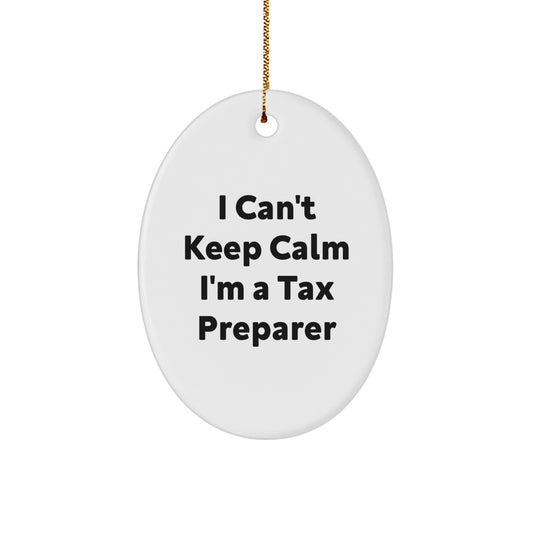 Funny Tax Preparer Gifts, Inspirational Oval Ornaments for Christmas Unique Gifts from Friends to Family - Image 1