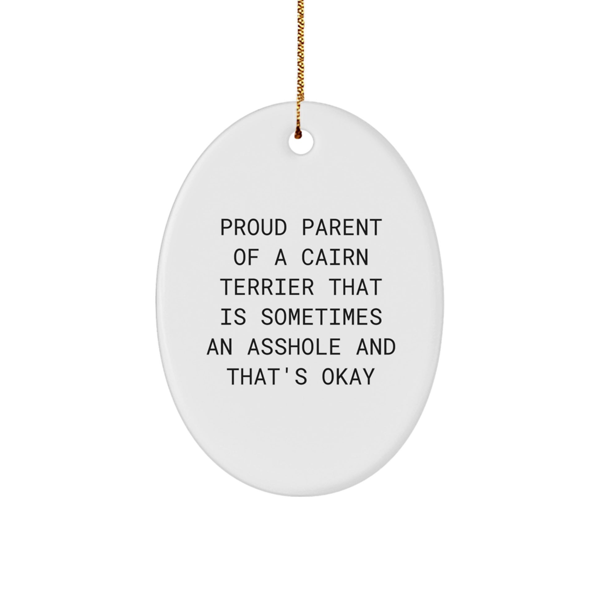 Funny Cairn Terrier Dog Gifts from Men to Family, Proud Parent Oval Ornament for Christmas Unique Gifts - Image 1