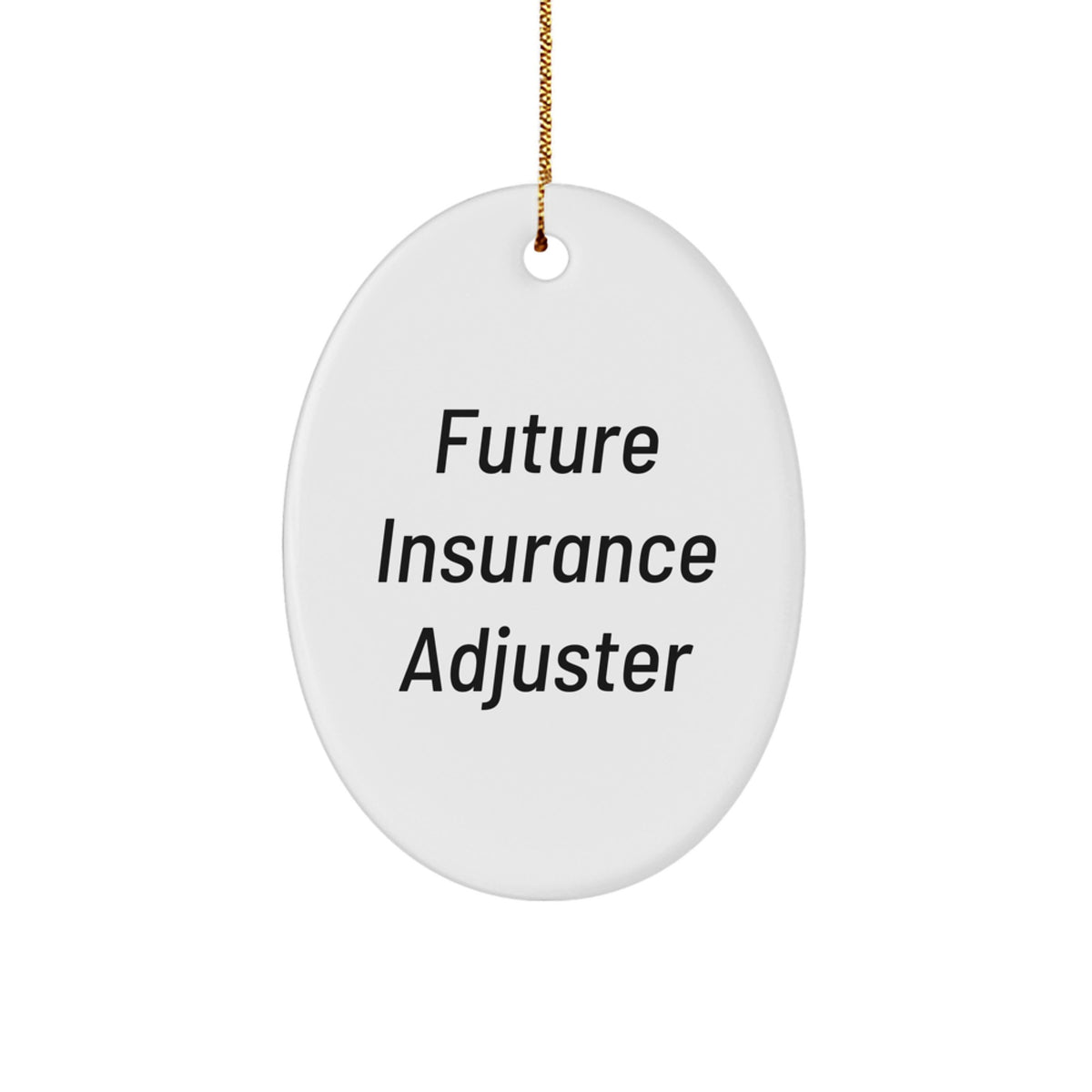 Funny Insurance Adjuster Gifts for Men, Future Insurance Adjuster Oval Ornament, Christmas Unique Gifts from Friends or Family - Image 1