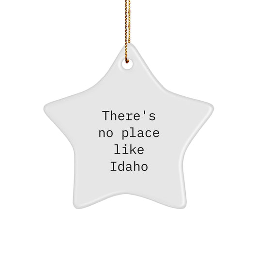 Funny Idaho Gifts from Friends, Idaho Star Ornament, 'There's No Place Like Idaho' Christmas Unique Gifts for Men, Women, Family - Image 1