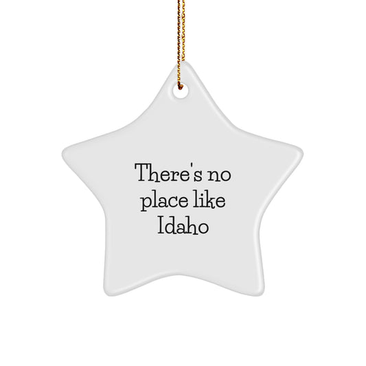 Funny Idaho Gifts for Men from Friends - Idaho Star Ornament, Christmas Unique Gifts, There's No Place Like Idaho - Image 1