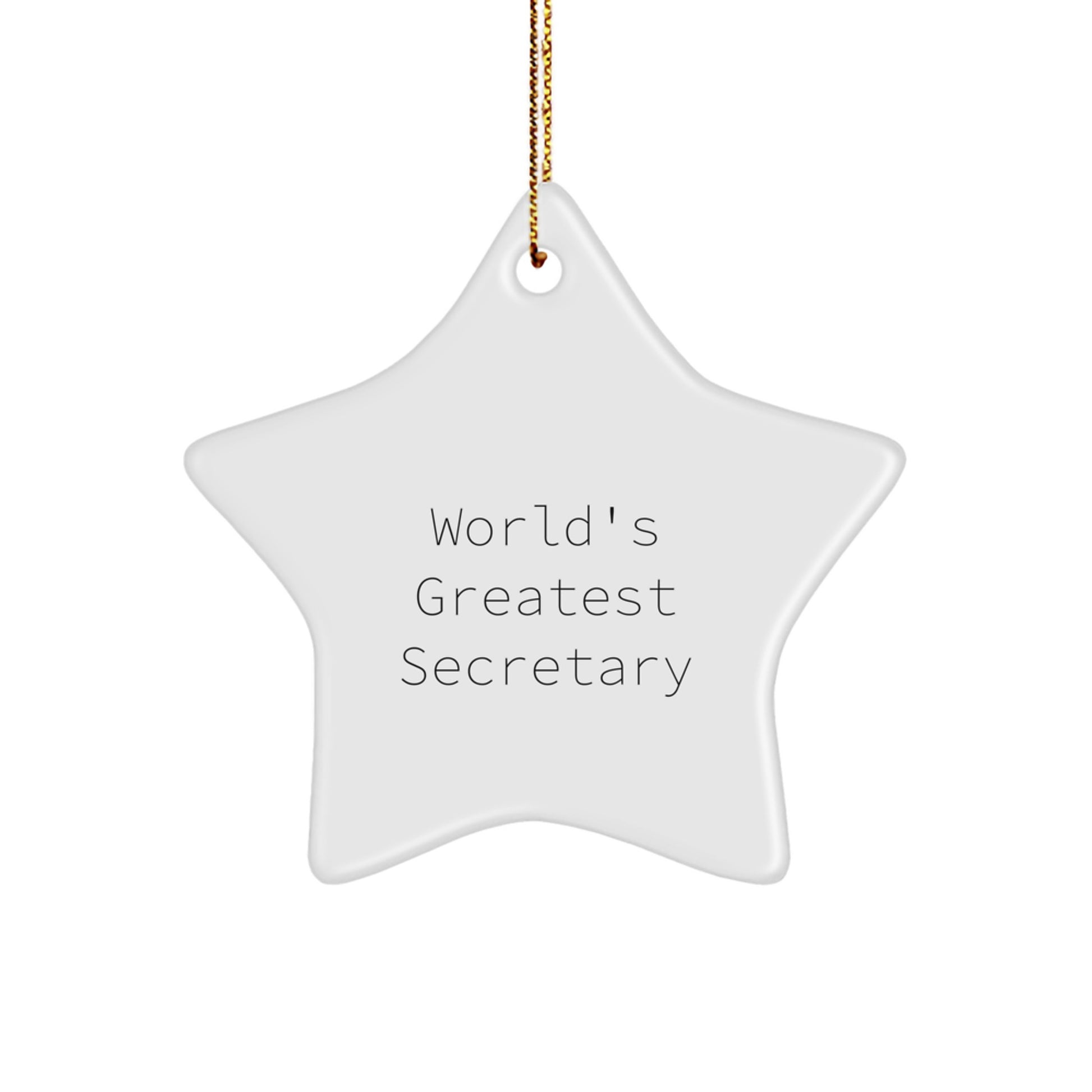 Funny Secretary Star Ornament Gifts from Friends for the World's Greatest Secretary at Christmas Time - Image 1