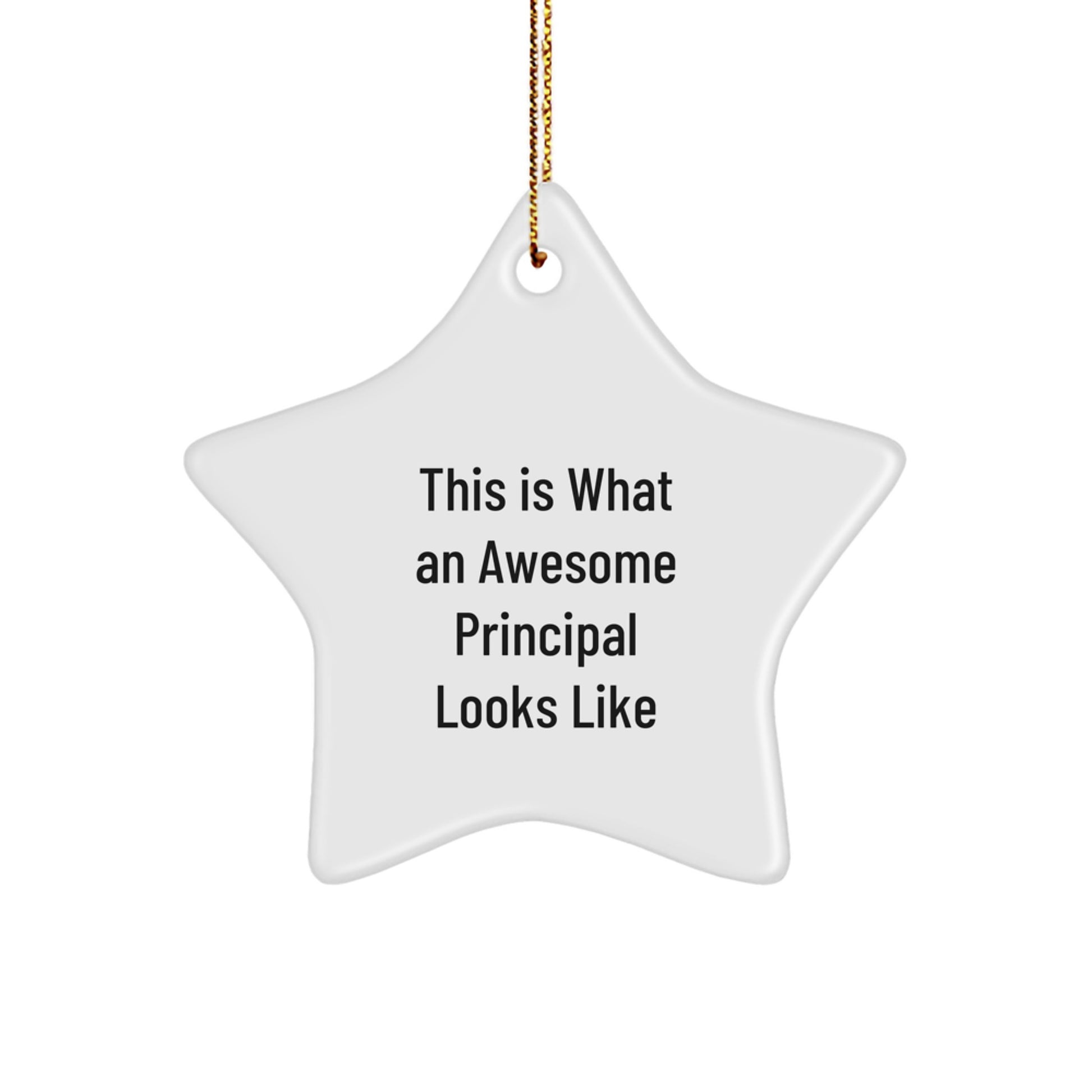 Funny Principal Star Ornament Gifts from Friends and Family for Christmas Unique Principal Appreciation Gifts - Image 1