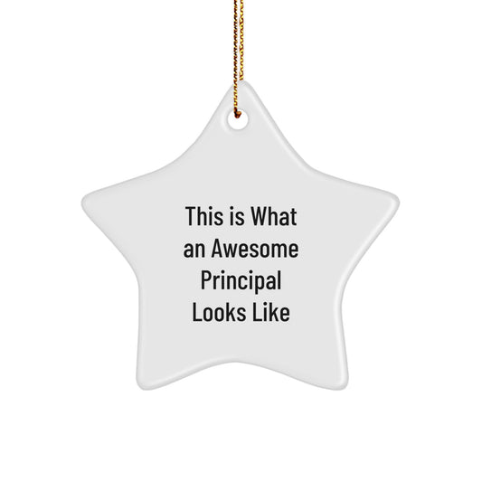 Funny Principal Star Ornament Gifts from Friends and Family for Christmas Unique Principal Appreciation Gifts - Image 1