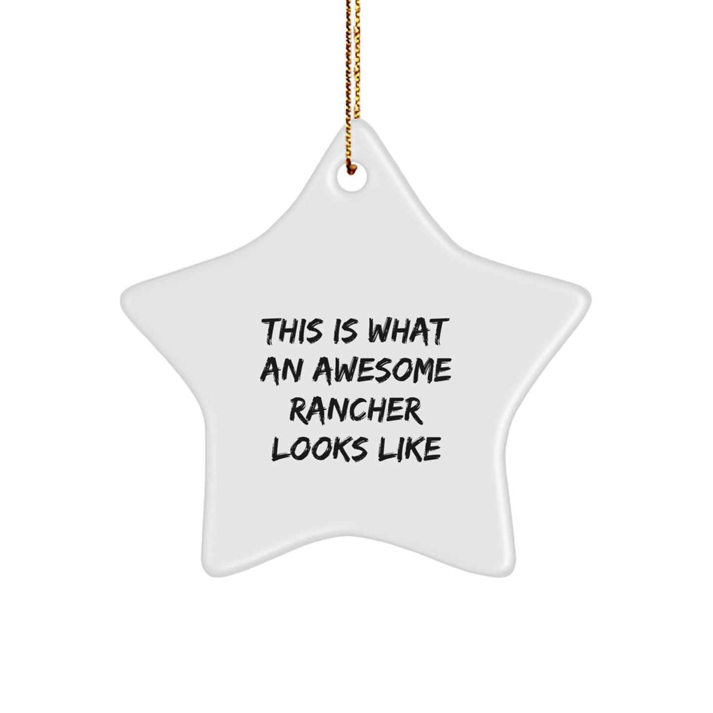 Funny Star Ornament Gifts from Men to Rancher Friends for Christmas - Image 1