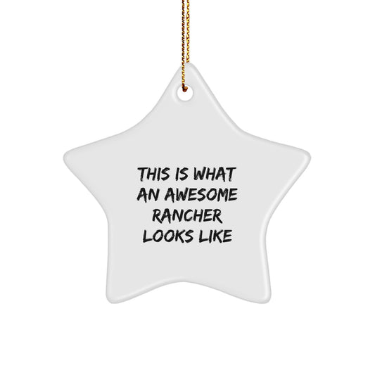 Funny Star Ornament Gifts from Men to Rancher Friends for Christmas - Image 1
