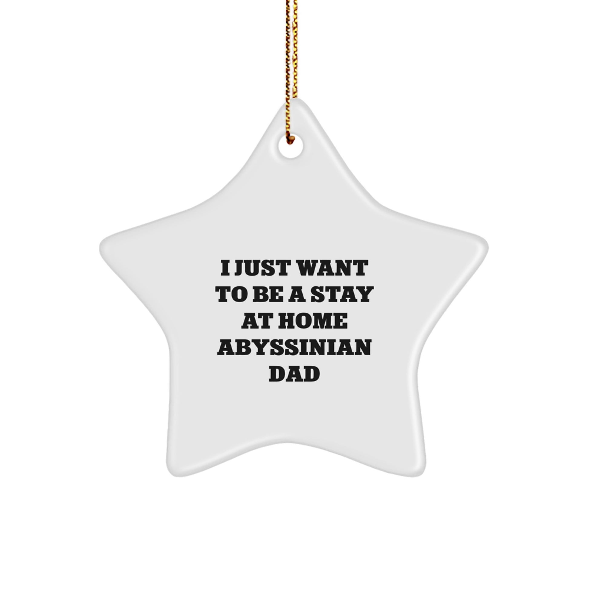 Abyssinian Cat Star Ornament, Funny Stay at Home Dad Gift, Christmas Unique Gifts for Friends Family - Image 1