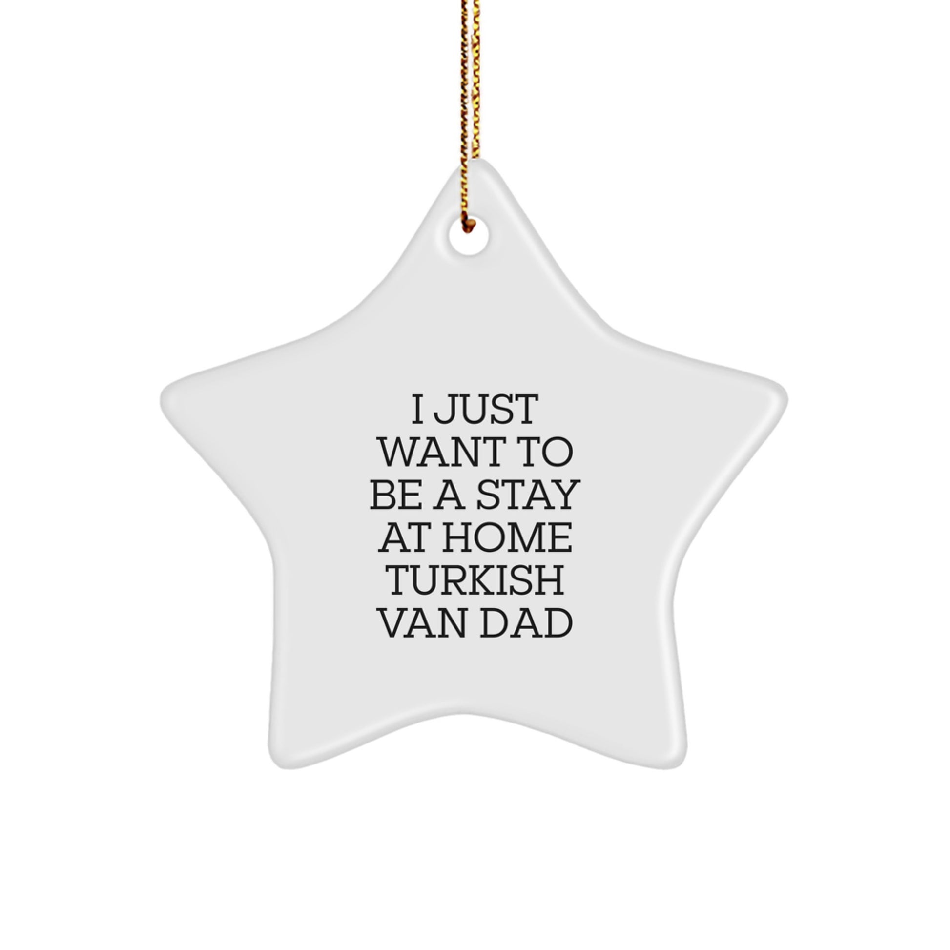 Funny Turkish Van Cat Gifts from Dad to Daughter, Christmas Unique Star Ornament for Happy Kids Room Decor, I Just Want To Be A Stay At Home Turkish Van Dad Quote Star Decoration - Image 1
