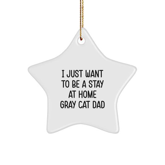 Gray Cat Dad's Funny Christmas Unique Gift, Star Ornament for Men, Friends, Family, Unique Gifts from Men, Gifts for Gray Cat Lovers - Image 1