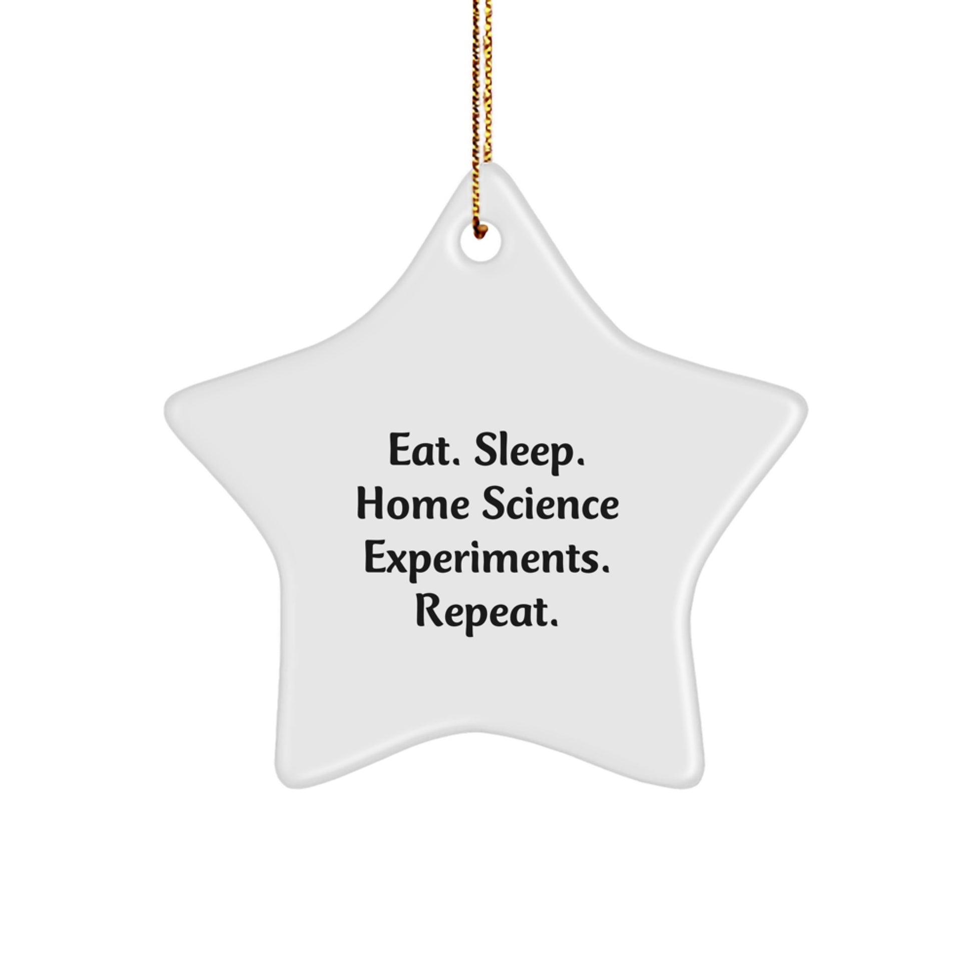 Funny Home Science Experiments Star Ornament Gifts from Men for Home Science Enthusiasts - Eat Sleep Repeat Christmas Decorations - Image 1