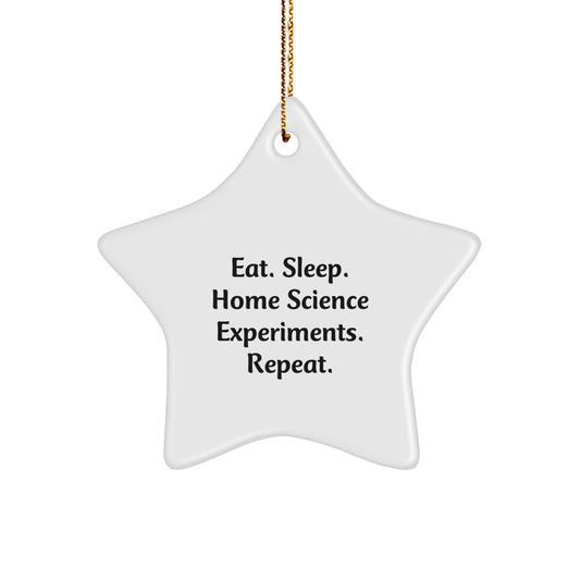 Funny Home Science Experiments Star Ornament Gifts from Men for Home Science Enthusiasts - Eat Sleep Repeat Christmas Decorations - Image 1