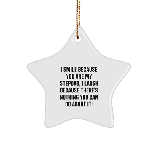 Funny Stepdad Gifts from Men - I Smile Because You Are My Stepdad, I Laugh Because There's Nothing You Can Do About It! Christmas Unique Star Ornament for Dad - Image 1