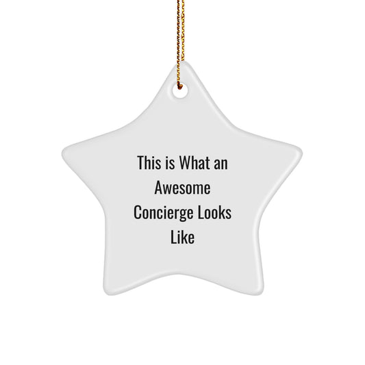 Funny Concierge Gifts from Men, Women, Friends, or Coworkers - Awesome Concierge Star Ornament for Christmas Unique Gifts - Image 1