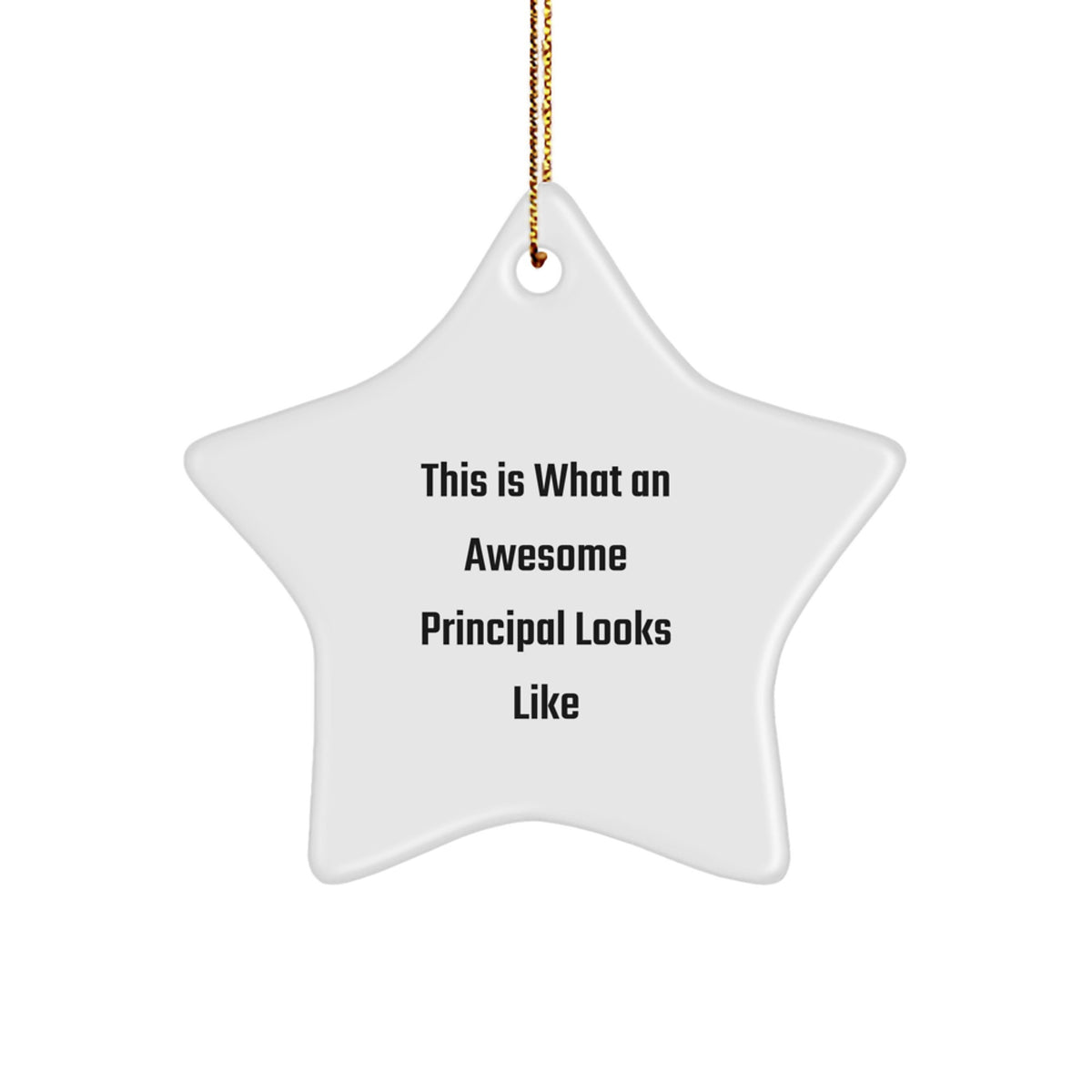 Funny Principal Gifts This Is What An Awesome Principal Looks Like Star Ornament for Men - Image 1