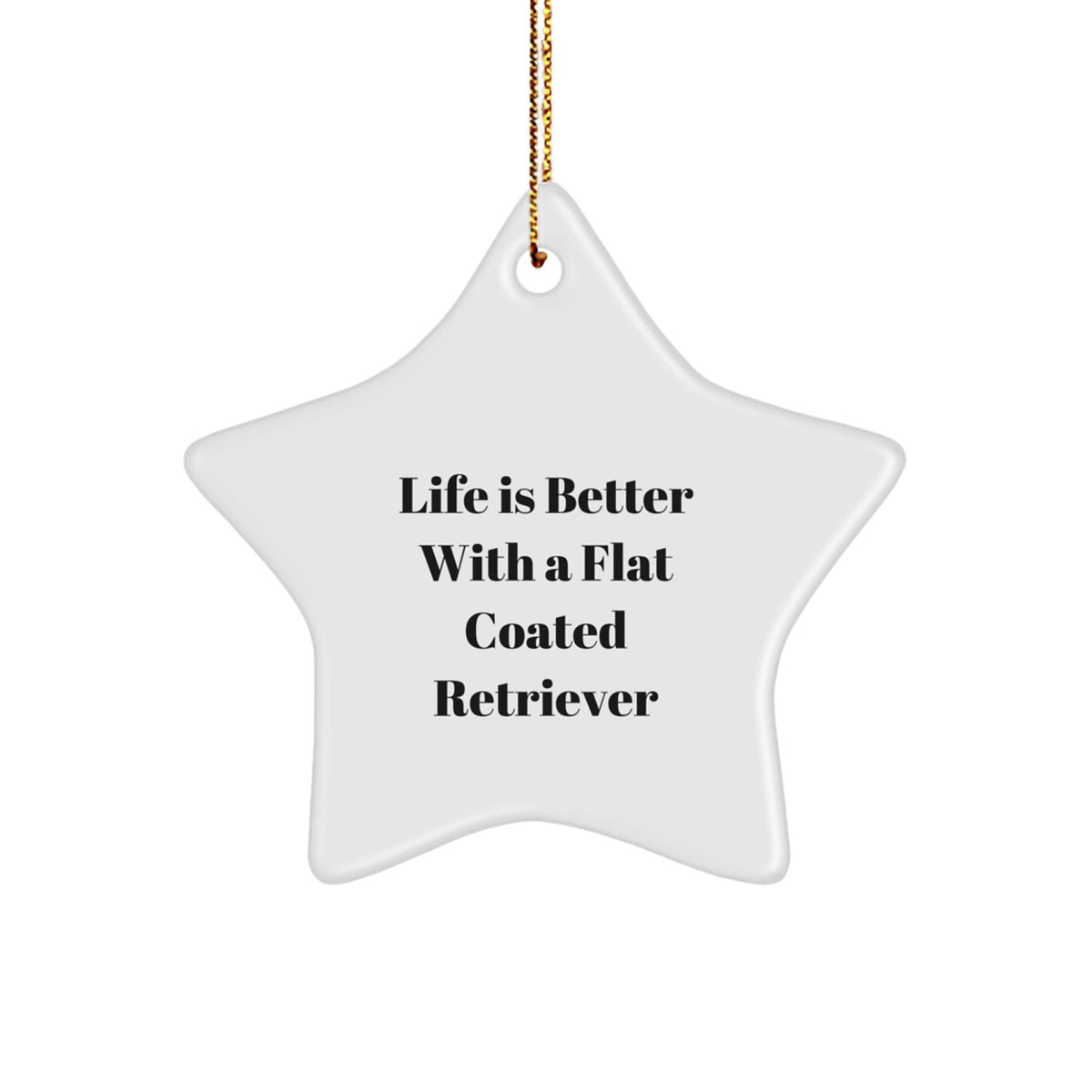 Funny Flat Coated Retriever Dog Gifts from Family, Star Ornament Life Is Better With A Flat Coated Retriever, Christmas Unique Presents - Image 1