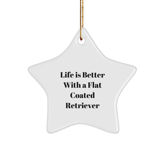Funny Flat Coated Retriever Dog Gifts from Family, Star Ornament Life Is Better With A Flat Coated Retriever, Christmas Unique Presents - Image 1