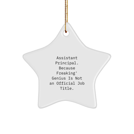 Funny Assistant Principal Star Ornament, Unique Gifts from Coworkers for Assistant Principals, Christmas Decorations - Image 1
