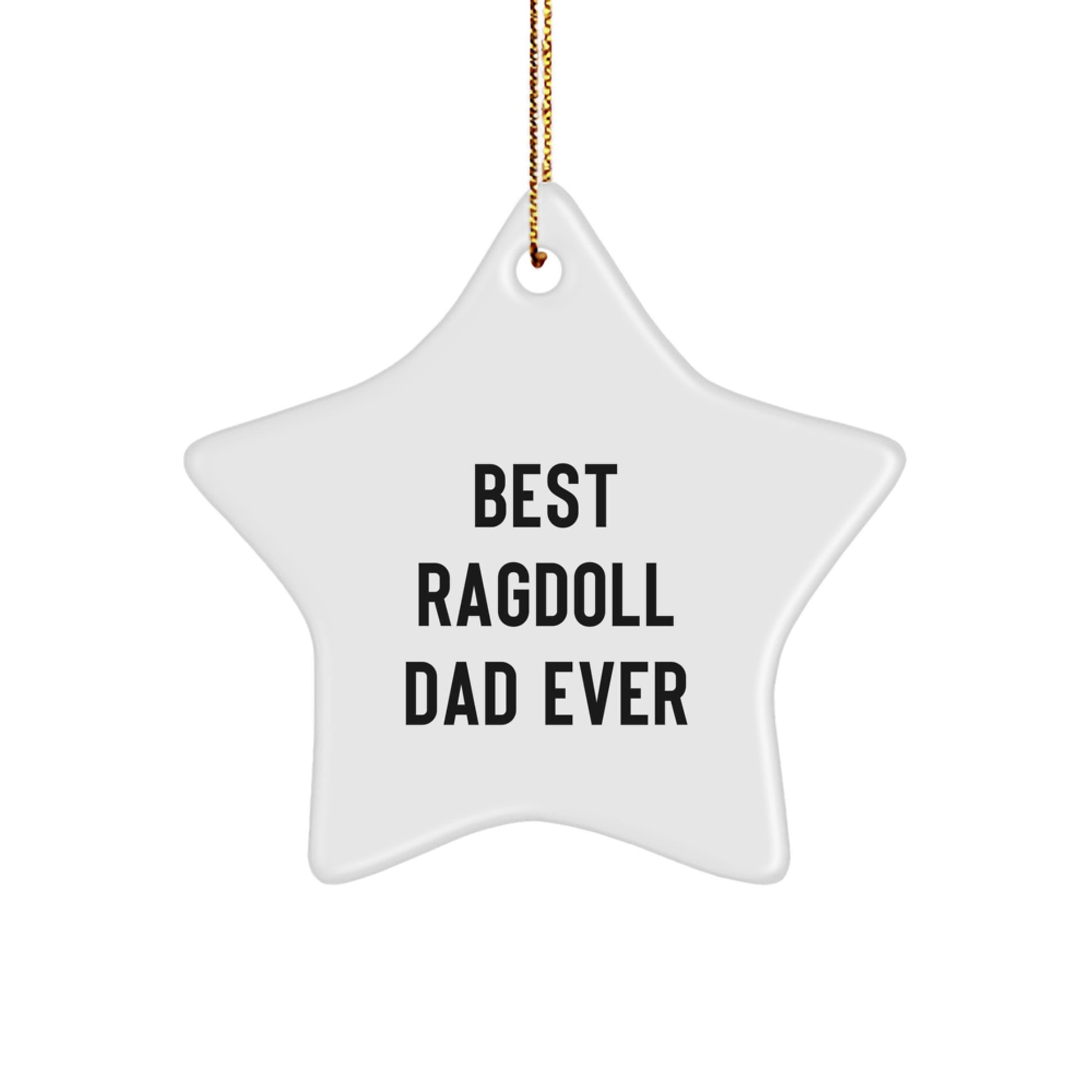 Funny Ragdoll Cat Dad Star Ornament Gifts from Best Dads for Christmas Unique Gifts - Image 1